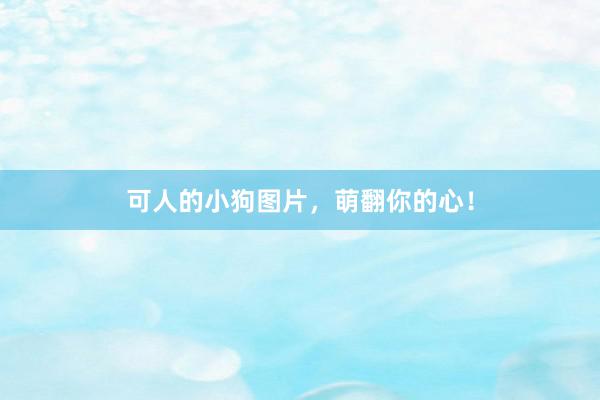可人的小狗图片，萌翻你的心！